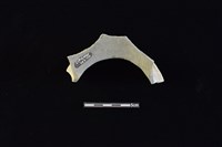 陶罐藏品圖，第2張